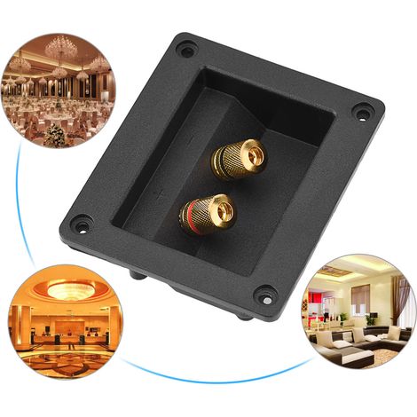 Boîtier de Connexion pour Enceintes HiFi avec Bornes en Cuivre et Câbles Acoustiques (1/5)