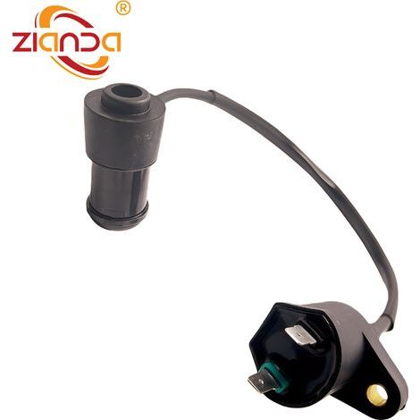 Zündspulenadapter 306001-0012-02 SKY TEAM ST 125-1 T-Rex Skymax (1/4)