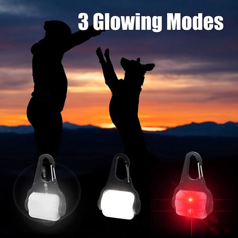 Collier lumineux LED rechargeable USB pour chien, lumière d'éclairage pour chien, lampe de camping (1/5)