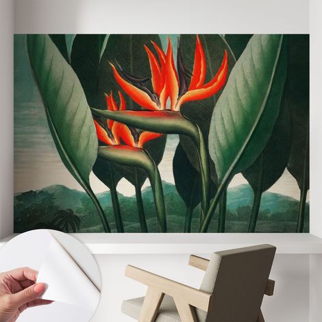 Papier peint adhésif décoratif pour salon chambre et cuisine Facile à poser avec colle Fleurs exotiques 104x70 cm (1/5)