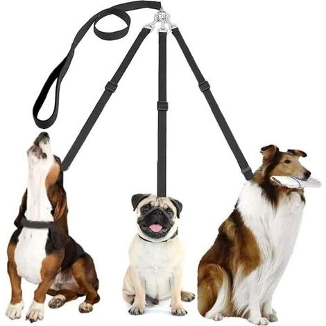 (Schwarze) Hundeleine – Noname – 3-in-1 – Verstellbares Nylon – Länge 53 cm bis 88 cm – Schwarz (1/4)