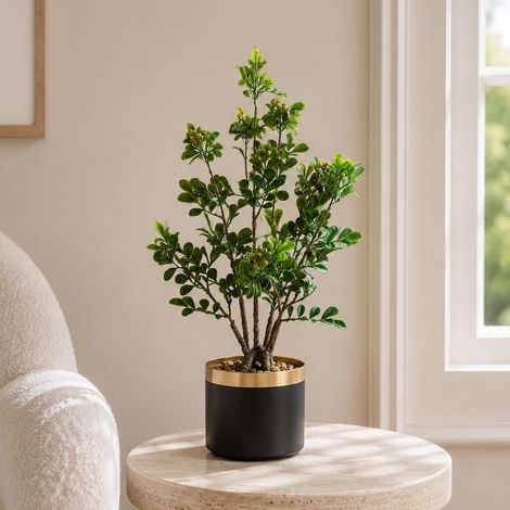 60cm Artificial Aglaia Odorata Bonsai Ficus Tree - Premium Quality (1/5)