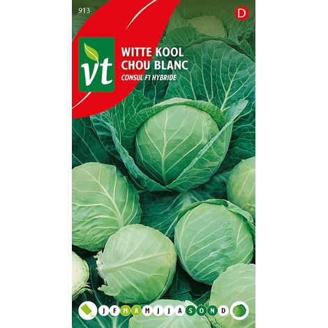 Chou Blanc Consul F1 Hybride - Ca. 0,3 gr (Livraison Gratuite) (1/2)