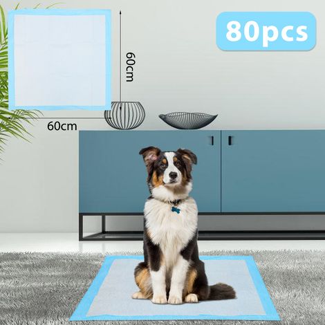 Randaco 80 alfombrillas higiénicas 60x60 cm, empapadores desechables para perro