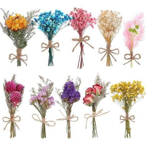 Lot de 10 Mini Bouquets de Fleurs Séchées Naturelles - Mini Fleurs Séchées, Fleurs Séchées, Mélange de Fleurs Séchées Naturelles pour Loisirs Créatifs, Décoration D'intérieur (1/5)