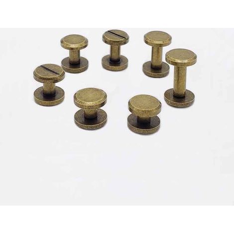 Rivets pour Cuir 20 Paires 10x6mm Bronze Rivet a Visser,Bricolage Cuir Artisanal Métal Rivet,Rivets Plat Chicago Vis à Ecrou de Fixation kit,pour Ceinture Sangle Sac à Main DIY Maroquinerie (1/4)