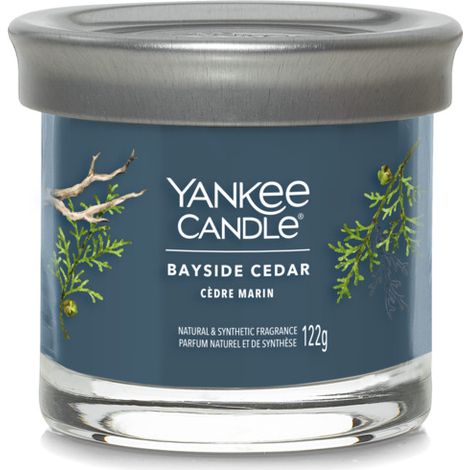 Yankee Candle Bayside Zedernholzkerze 122 g (1/4)