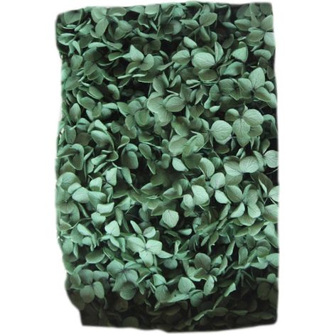 Farfi 20g/Box Trockenblumen, keine Bewässerung nötig, dekorative, frisch haltende künstliche Hortensienblüten, Geschenkbox-Set, Heimdekoration für das Wohnzimmer-Atrovirens