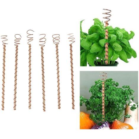 Set di 6 supporti a spirale in rame per elettrocoltura, che forniscono un sostegno stabile per piante da giardino, frutta e verdura. (1/5)
