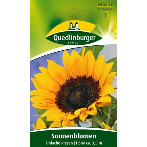 Quedlinburger Sonnenblumen Einfache Riesen - Blumensamen (1/2)