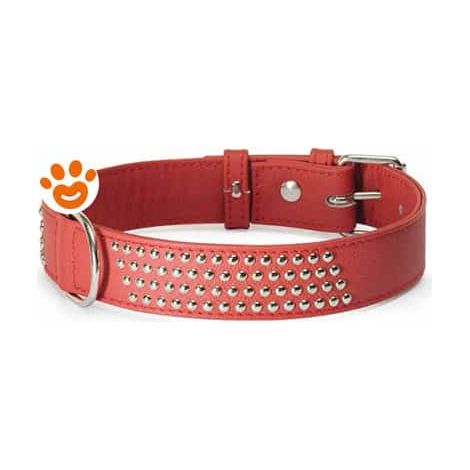 Camon Dog Collare in Pelle Rosso con Borchiette (20x200 mm) - Confezione 1 Pezzo - Accessori