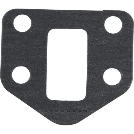 Dichtung Kraftstoffförderpumpe PERKINS 3685R007 (1/2)