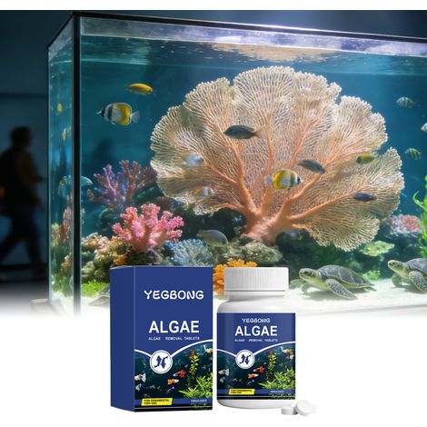 Comprimés anti-algues pour poissons d'ornement - Nettoyage doux des aquariums, élimine les algues vertes et maintient la qualité de l'eau - 100 g (1/5)