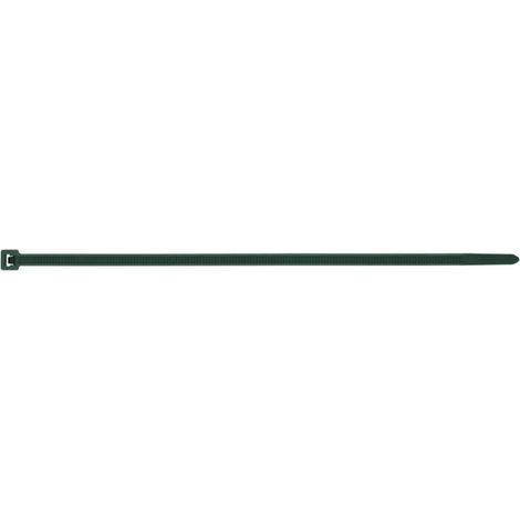 Colliers de serrage Nylon Vert 2.5X100 - 100 pièces (1/4)