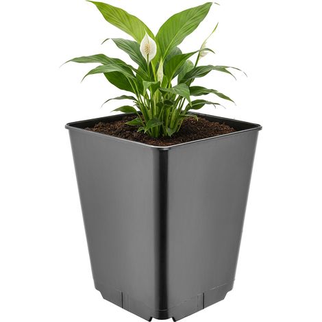 Garronda Pflanztopf Kunststoff hoch 16 x 16 x 20 cm (3,5L) eckig mit Drainagelöchern Blumentopf PP Pflanzgefäß für Garten Gewächshaus Balkon Anzucht Innen Außenbereich Schwarz GD-0201