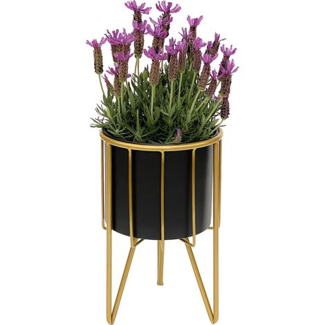 DanDiBo Tabouret de fleur avec pot Métal Or Noir Rond S 32 cm Support de fleur 96039 Colonne de fleur Moderne Support de plante Tabouret de plante