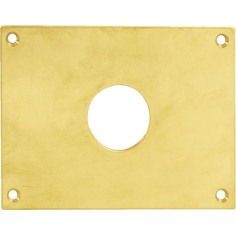 Plaque de propreté trou rond 26 laiton poli 90x90mm - HERACLES - 251652-TR26