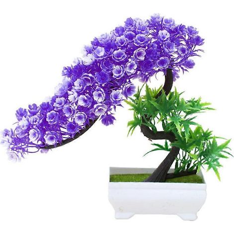 Bouquet fleuri, plante, arbre, bonsaï en pot, décoration de bureau, jardin, fêteviolet (1/5)