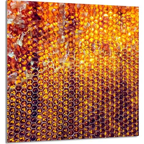 Panneau de verre pour la cuisine 60x65 Miel (1/5)