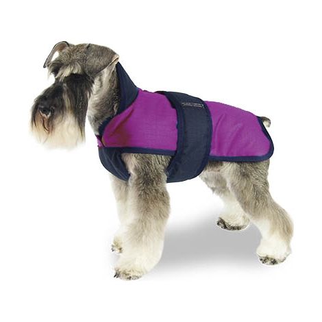 [NON UTILIZZATO] Strato +Zip Respirare lo strato rosa Comfort +ZIP BREATHE COMFORT ROSA 45CM (1/3)