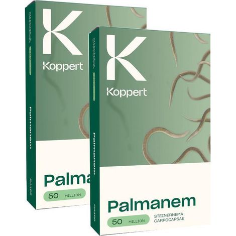 KOPPERT Kit 2 Confezioni Palmanem 50 milioni di nematodi (1/2)