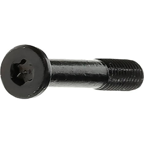 Vis Bosch system controller Torx T10 15 cm