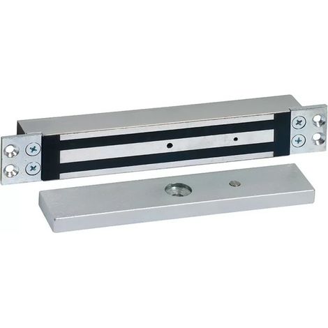 Sewosy EF30035ENCCTCCA inox Ventosa elettromagnetica da incasso 300kg 12/24V