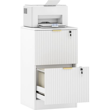 Filing Cabinet, File Cabinet with 2 Lockable Drawers and Hanging Rails (1/5)