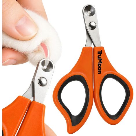 Coupe-Griffes Chat Trou de Sécurité 2mm pour Chats Intérieur (1/5)