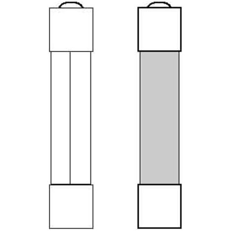 Eska G-Sicherungseinsatz 5x25mm M 10A m.Kennmelder 528.027 10 Stk