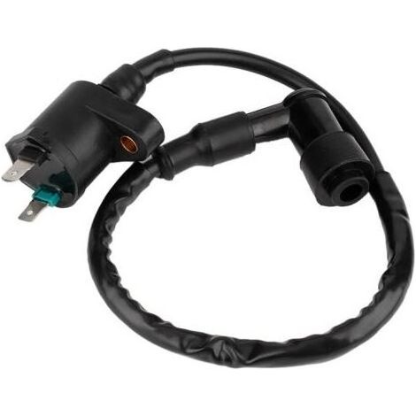 GY6125 Zündspule, geeignet für 50-cm³-, 150-cm³- und 250-cm³-Motorradmotoren (1/5)