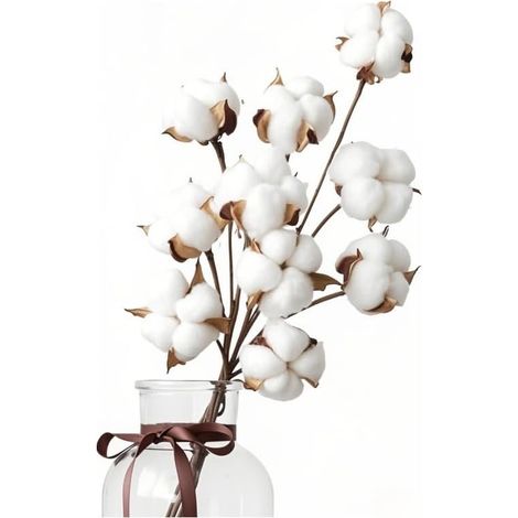 10 Fleurs de Coton Sechees Naturelles , Bouquet Fleurs de Coton Séchées, Branches Coton, Fausses Plantes Séchée pour Balcon Maison Table Composition Florale Mariage (1/5)