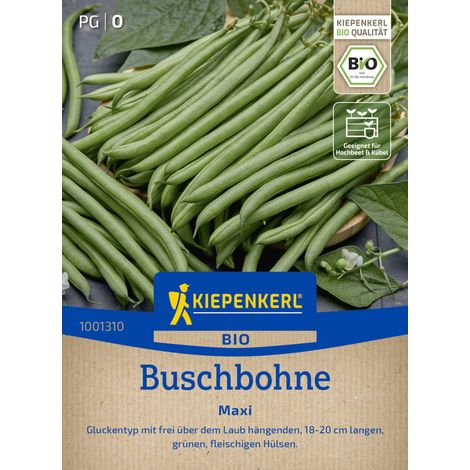 Kiepenkerl Saatgut BIO Buschbohnen Maxi für ca. 5 - 7 m² (1/2)