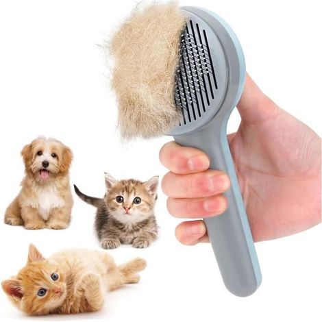 Brosse de toilettage pour chat - Brosse de toilettage auto-nettoyante pour animaux domestiques - Pour enlever les poils morts (1/4)