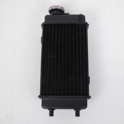 radiador de refrigeración p2r para moto rieju 50 rs2 naked 2003 a