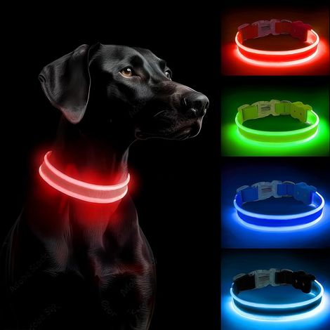 Leuchtendes Hundehalsband, wiederaufladbares LED-Hundehalsband, wasserdichtes fluoreszierendes Hundehalsband mit 3 Modi, verstellbares Leuchthalsband für kleine/mittelgroße/große Hunde, Rot-M (1/5)