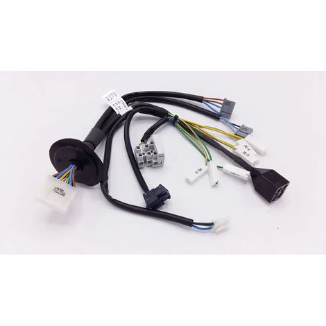 Remeha Mazo de cables 230V Gas 210 V3, S100625