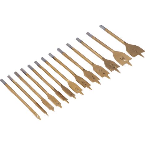 Lot de 13 meches plates bois acier fort 1/4in hex spade perçage douille coffret (1/5)
