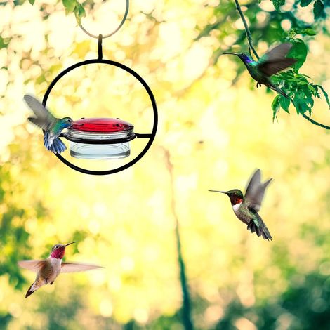 Abreuvoir simple en métal pour colibris (2 pièces) (1/5)