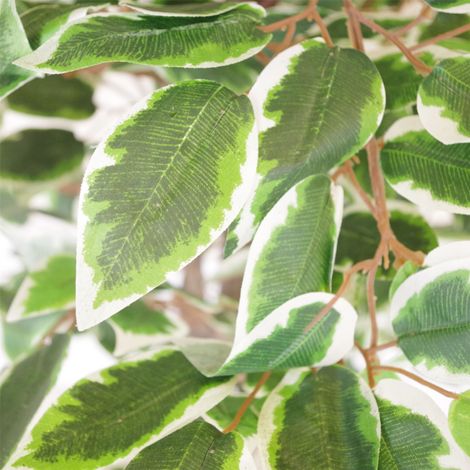 130cm LARGE Realistic White Edge Ficus Artificial Plant Tree Silver Metal Planter - Premium Quality (1/2)