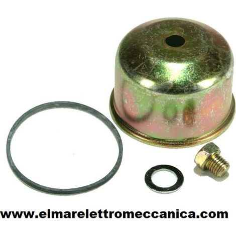 BRIGGS & STRATTON Vaschetta con guarnizione per carburatore Walbro su motori da 10 a 13 HP 350079