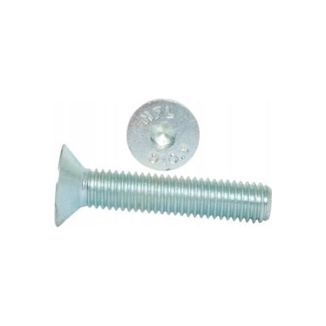 Vis Allen M8x35 classe 10.9 DIN 7991 PG galvanisées 200 pièces. (1/5)