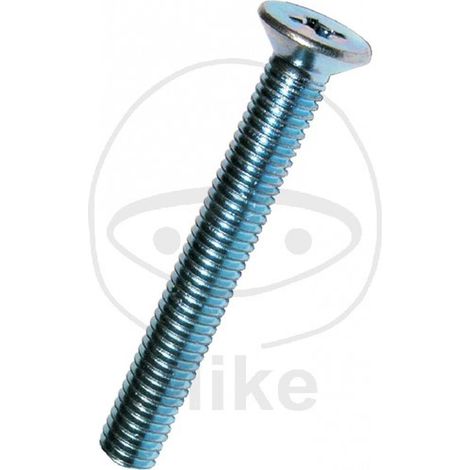 Vis dresselhaus m4x10 galvanisées tête fraisée Phillips (1/2)