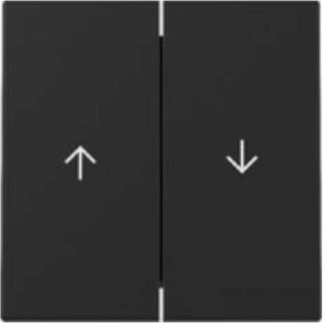Gira Wippe 2f Pfeil 3294005 (1/5)