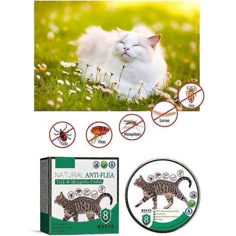 Collier anti-puces et anti-tiques pour chiens et chats, ajustable, pour chiots et chiots. (1/4)