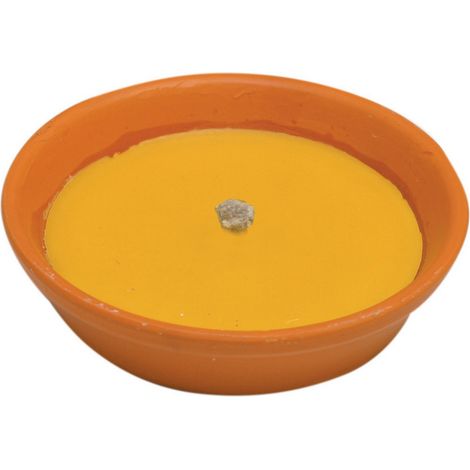 1PZ CITRONELLA IN COCCIO ANTIVENTO D 14 CM