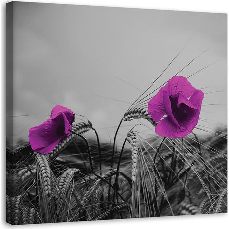 Tableau sur toile Coquelicots en mauve 40x40 (1/5)
