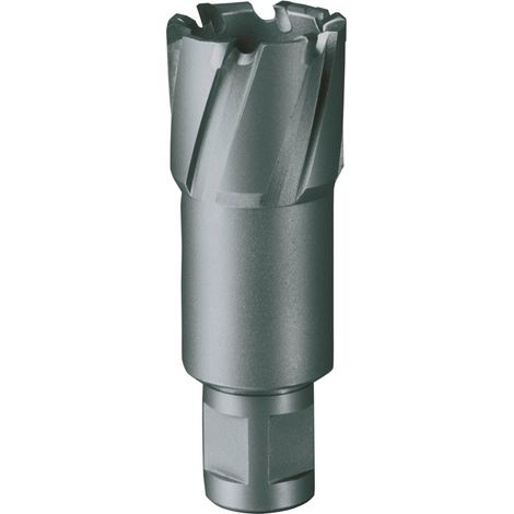 Kernbohrer Nenn-Ø 19 mm HM Schnitttiefe 50 mm Weldon RUKO (1/5)