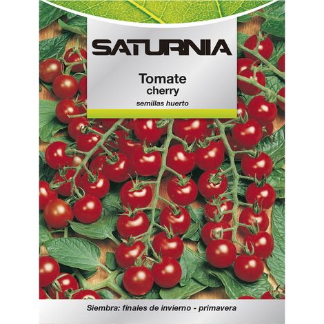 Samen saturnia tomate cherry 1 g sonnige Lage (1/2)