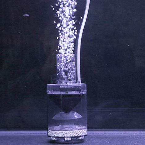 Aspirateur à Déjections de Poissons pour Aquarium, Collecteur Automatique de Déchets avec Filtre pour Nettoyage d'Aquarium